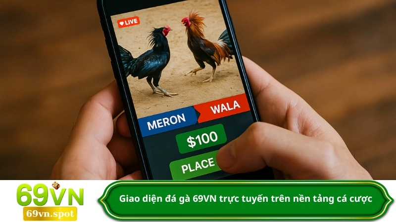 Giao diện đá gà 69VN trực tuyến trên nền tảng cá cược